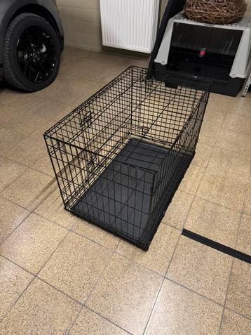 Cage pour chiens de taille moyenne disponible aux enchères