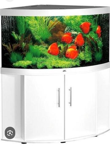 Grote juwel hoekaquarium met automatische ledverlichting  beschikbaar voor biedingen