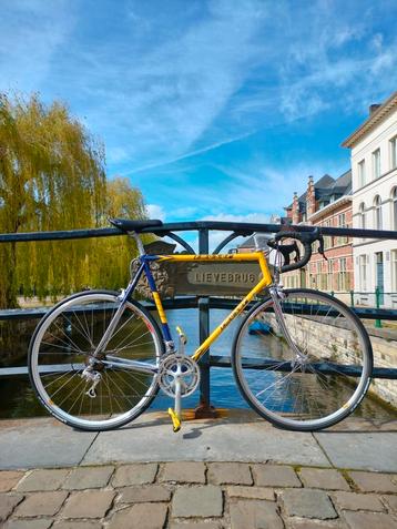 Moser koersfiets FULL Campagnolo