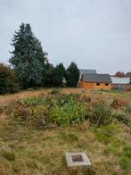 Takken + groen Sint Maarten, Tuin en Terras, Ophalen