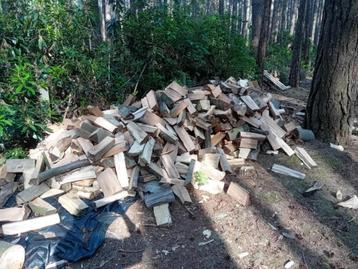 brandhout , beuk beschikbaar voor biedingen