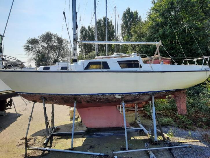 zeilboot, Watersport en Boten, Motorboten en Motorjachten, Gebruikt, Polyester, 9 tot 12 meter, Diesel, Binnenboordmotor, 10 tot 30 pk