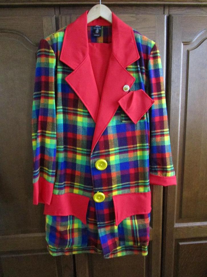 Clownspak dames/heren, Kleding | Dames, Carnavalskleding en Feestkleding, Zo goed als nieuw, Kleding, Maat 46/48 (XL) of groter