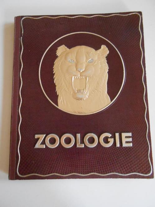 Prentenboek ZOOLOGIE ., uitgave Kwatta . Nederlands/Frans, Livres, Livres d'images & Albums d'images, Livre d'images, Enlèvement ou Envoi