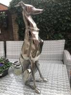 groot zittend hond windhond greyhound whippet galgo, Antiek en Kunst, Ophalen of Verzenden