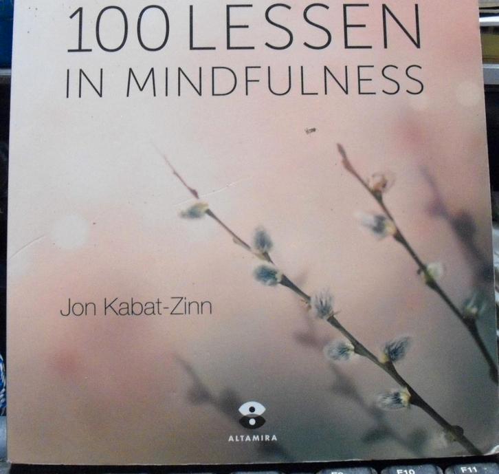 100 lessen in mindfulness, Jon Kabat-Zinn, Livres, Ésotérisme & Spiritualité, Comme neuf, Envoi