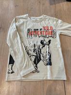 longsleeve maat 140, Kinderen en Baby's, Kinderkleding | Maat 140, Ophalen of Verzenden