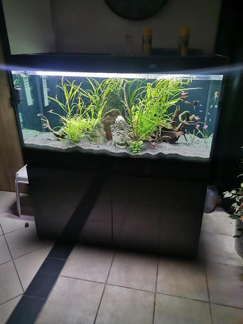 Aquarium Eheim incpiria 430L Complet, Dieren en Toebehoren, Vissen | Aquaria en Toebehoren, Gebruikt, Leeg aquarium, Ophalen