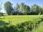 Weide  te koop  33are Lochristi, Dieren en Toebehoren, Weidegang, 2 of 3 paarden of pony's