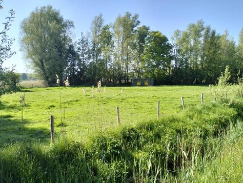 Weide  te koop  33are Lochristi, Dieren en Toebehoren, Stalling en Weidegang, Weidegang, 2 of 3 paarden of pony's