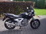 HONDA CBF 250, Motoren, Motoren | Honda, Particulier, 249 cc, 1 cilinder, 12 t/m 35 kW