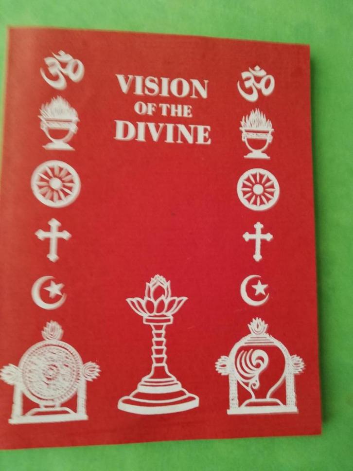 Vision of the Divine, Understanding  Spiritual Teachings Sai, Boeken, Overige Boeken, Zo goed als nieuw, Ophalen of Verzenden