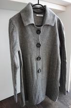 Gilet col polo gris moyen "PUBLIC" Envoi compris, PUBLIC, Verzenden, Gedragen, Grijs