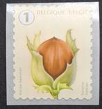 België: OBP 5025 ** Boomvruchten 2021., Frankeerzegel, Ophalen of Verzenden, Zonder stempel, Postfris