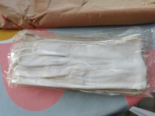 Rijkswacht: witte lederen handschoenen, nieuw, Maat 8, Verzamelen, Militaria | Algemeen, Rijkswacht, Kleding of Schoenen, Ophalen of Verzenden