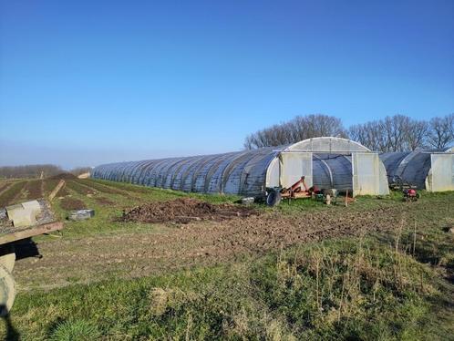 Serre Hagelandse tunnel, Tuin en Terras, Kassen, Gebruikt, Kweekkas, Staal, Ophalen
