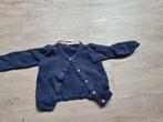 Donkerblauwe gilet met bollenmotief (Hema) Maat 74, Ophalen of Verzenden, Zo goed als nieuw, Hema, Truitje of Vestje