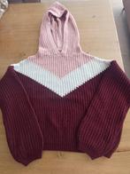 Mooie gebreide trui met kap (mt 134-140), Kinderen en Baby's, Kinderkleding | Maat 134, Jongen of Meisje, Trui of Vest, Ophalen of Verzenden