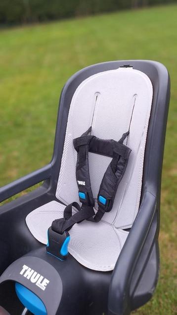 Fietsstoel Thule RideAlong dark grey beschikbaar voor biedingen