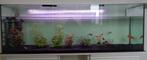 Intern filter voor aquarium, Dieren en Toebehoren, Vissen | Aquaria en Toebehoren, Gebruikt, Ophalen, Filter of Co2