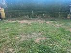 Afrastering voor alle diersoorten, Dieren en Toebehoren, Schapen, Geiten en Varkens