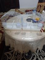 Cage  oiseaux, Animaux & Accessoires, Oiseaux | Cages & Volières, Comme neuf, Enlèvement ou Envoi