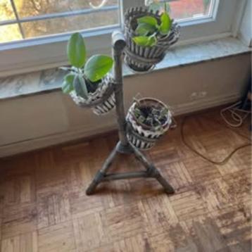 Porte plantes tripode en bambou et rotin, vintage, années 70 beschikbaar voor biedingen