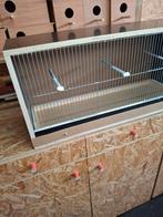 Nieuw vogelkooi, Enlèvement, Neuf, Bois, Cage à oiseaux