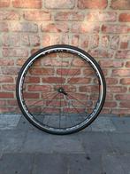 Fulcrum voorwiel en campabody + naaf voor achterwiel, Fietsen en Brommers, Fietsonderdelen, Ophalen, Gebruikt