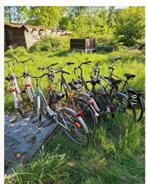Fietsen voor herstelling, Fietsen en Brommers, Fietsen | Dames | Damesfietsen, Ophalen