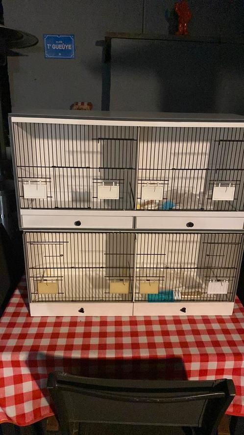 Cage d’élevage oiseaux, Animaux & Accessoires, Oiseaux | Cages & Volières, Utilisé, Cage d'élevage, Synthétique, Enlèvement