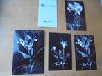 3 mini cartes / échantillons de parfum THIERRY MUGLER, Utilisé, Enlèvement ou Envoi