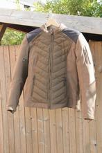 Motorjas vrouw Segura Natcho maat M, Ophalen of Verzenden