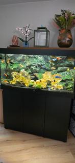 Aquarium juwel 350, Ophalen, Zo goed als nieuw