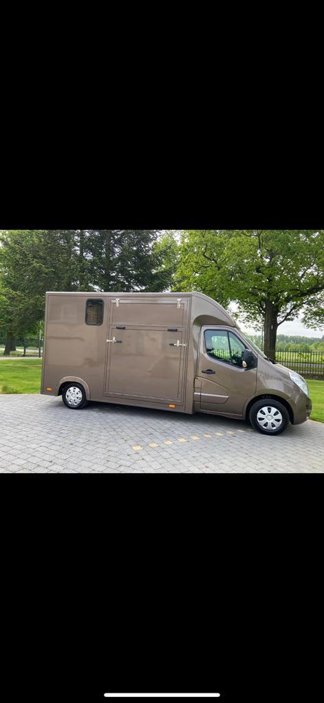 Opel Movano/ Renault Master hengstenuitvoering, Dieren en Toebehoren, Paarden en Pony's | Trailers en Aanhangwagens, Zo goed als nieuw