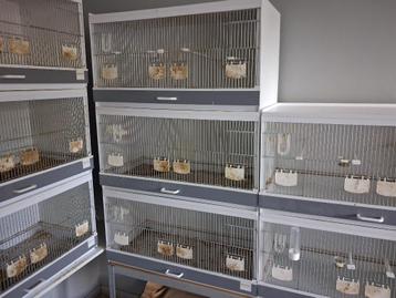 Pvc kweekbakken, Enlèvement, Comme neuf, Synthétique, Cage d'élevage