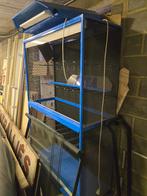 Vitrine sega, Enlèvement