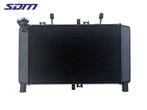 RADIATEUR Yamaha XSR 900 2022- (MTM890 RN801 BEA BMS), Gebruikt