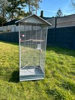Papegaai Parkieten Kooi, Dieren en Toebehoren, Vogels | Parkieten en Papegaaien, Papegaai