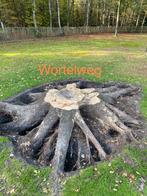Boom wortels weg bamboe weg, Tuin en Terras, Ophalen