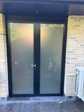 Aluminium dubbele deur (RAL 5004 MAT) beschikbaar voor biedingen