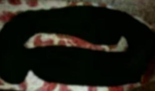 Echarpe tube noire à mailles douces, Vêtements | Femmes, Bonnets, Écharpes & Gants, Porté, Écharpe, Enlèvement ou Envoi