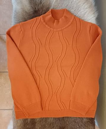 pull / trui roestbruin dames