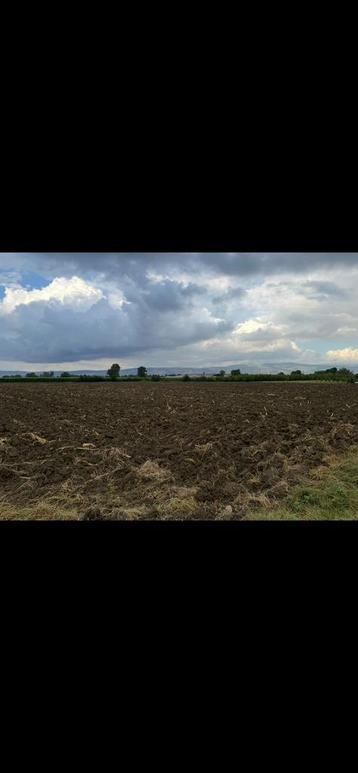 Landbouw te koop beschikbaar voor biedingen