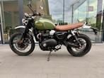 Triumph Scrambler X ´´2025 édition unique, Motoren, Motoren | Triumph, 2 cilinders, Bedrijf, ABS, Meer dan 35 kW