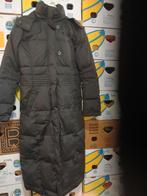 Esprit lange jas medium, Kleding | Dames, Ophalen of Verzenden