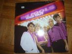 The Fools, Cd's en Dvd's, Vinyl | Rock, Verzenden, Gebruikt, 12 inch, Poprock