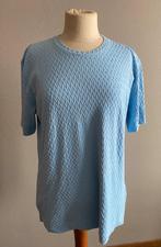 Blauw topje maat 48, Vêtements | Femmes, Tops, Manches courtes, Taille 46/48 (XL) ou plus grande, Comme neuf, Bleu