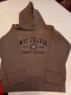 Sweater Quicksilver, Tommy Hilfiger,garfield, Kinderen en Baby's, Jongen of Meisje, Trui of Vest, Ophalen of Verzenden, Tommy Hilfiger