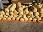 butternut pompoenen, Tuin en Terras, Ophalen